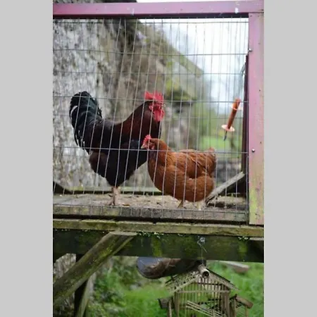 The Byre At Coco's Farm Aglish